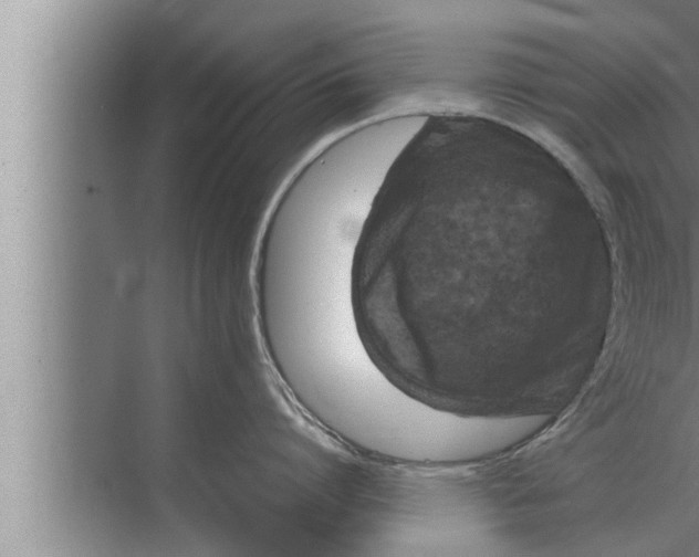 X0000072500864200607290104