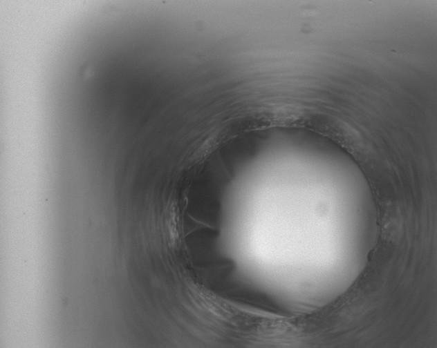 X0000072500866200607290103