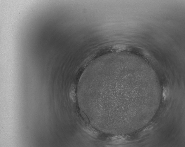 X0000072500867200607290103