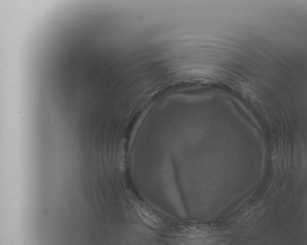 X0000072500868200607290103