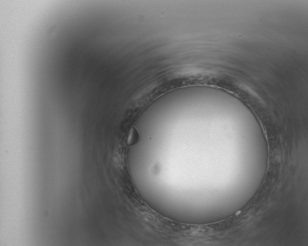 X0000072500869200607290103