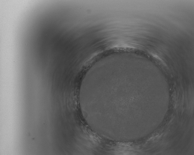 X0000072500870200607290103