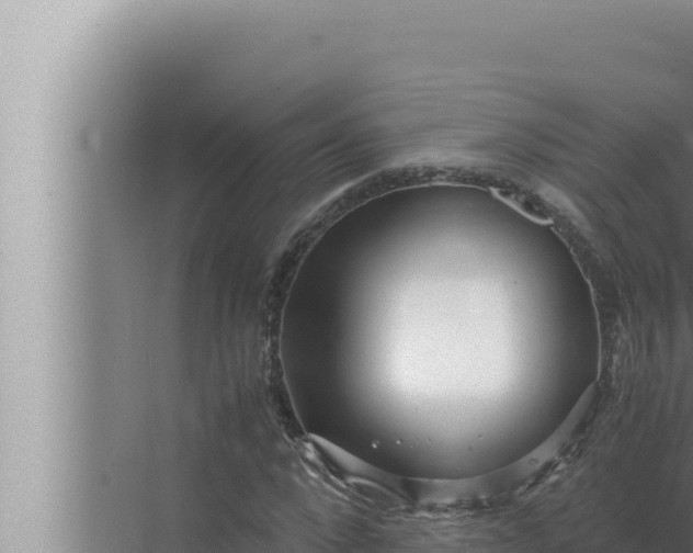 X0000072500872200607290103