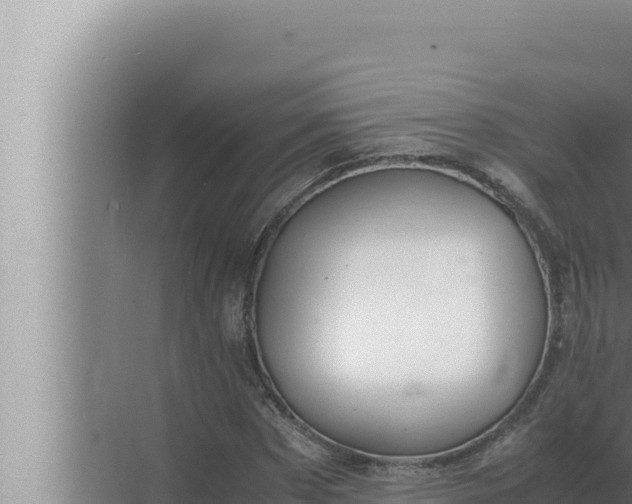 X0000072500873200607290103