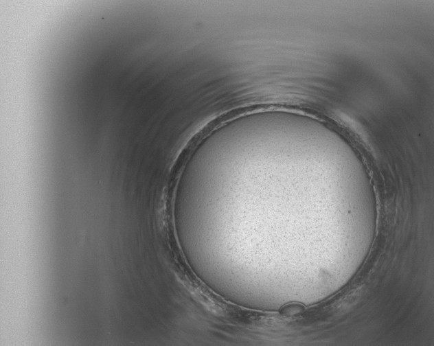 X0000072500875200607290103