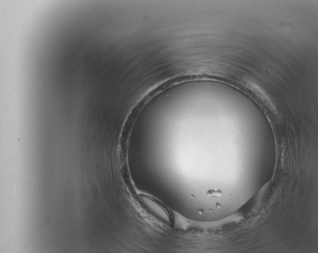 X0000072500876200607290103