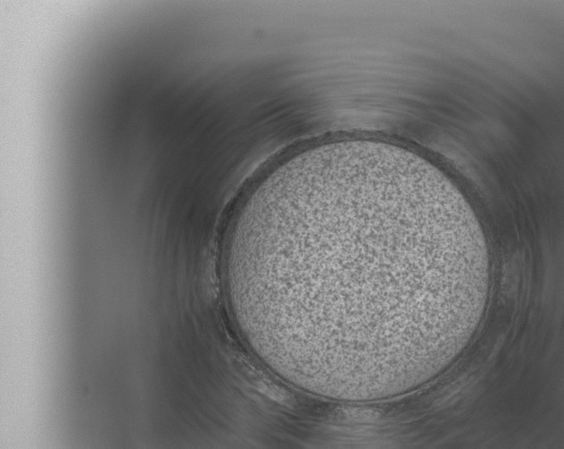 X0000072500878200607290103