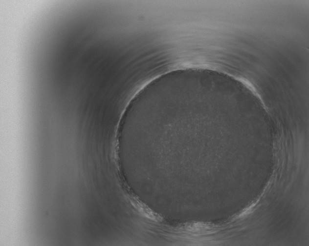 X0000072500879200607290103