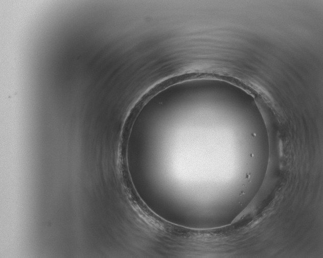 X0000072500880200607290103