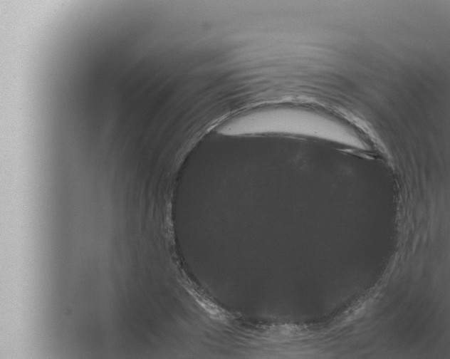 X0000072500881200607290103