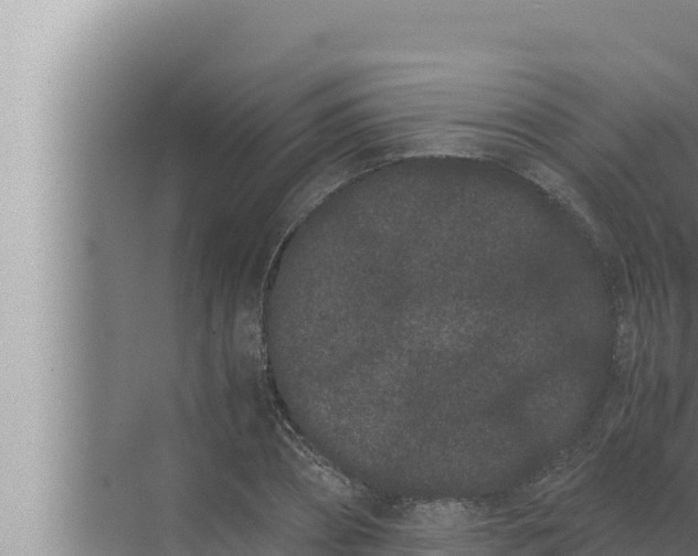 X0000072500882200607290103