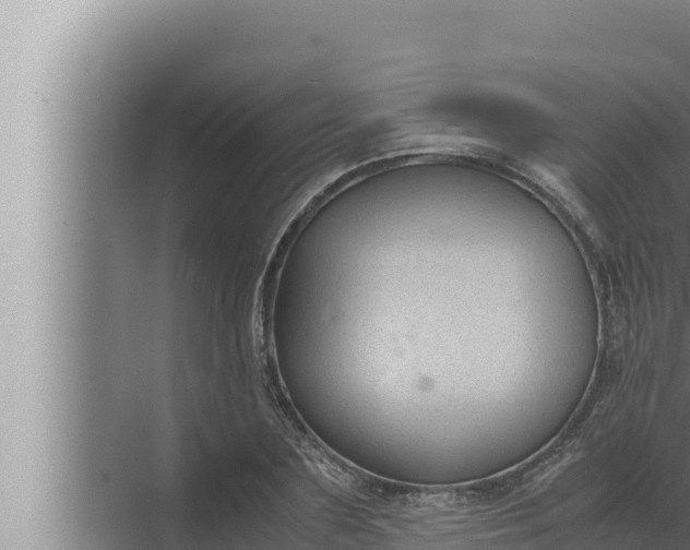 X0000072500883200607290103