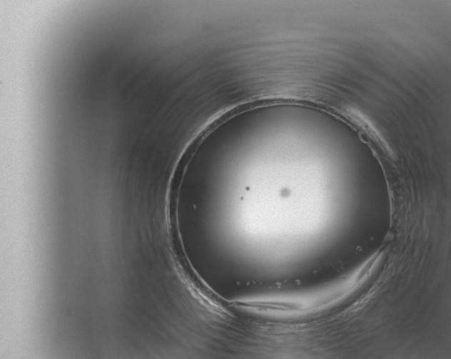 X0000072500884200607290103