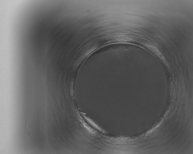 X0000072500889200607290103