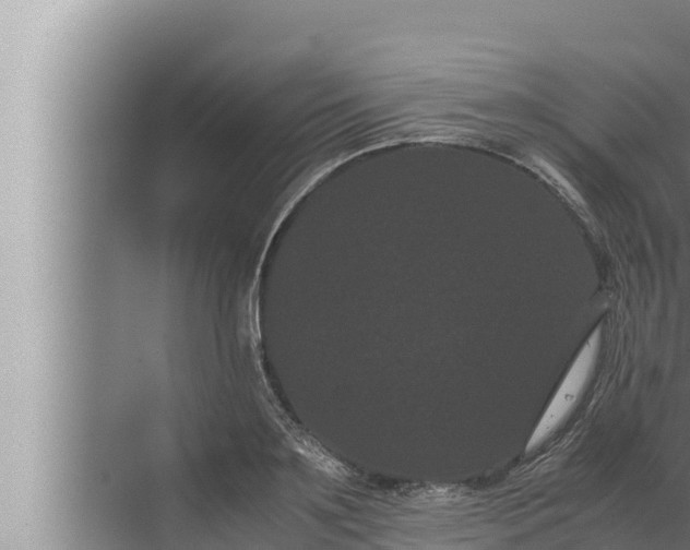 X0000072500891200607290103