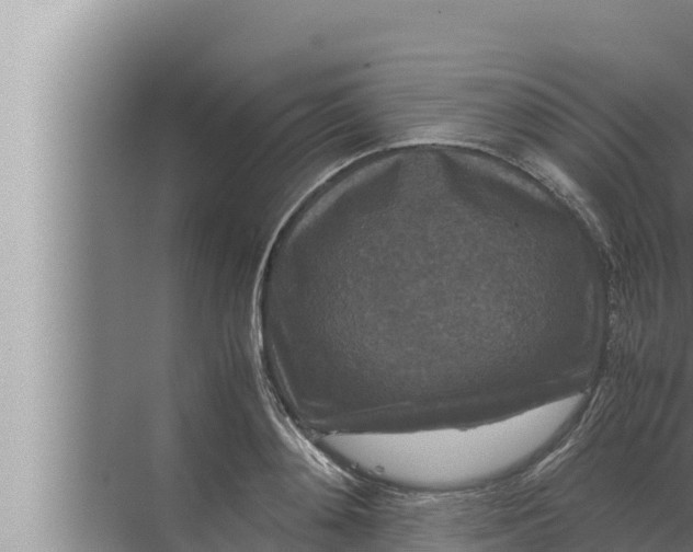 X0000072500892200607290103