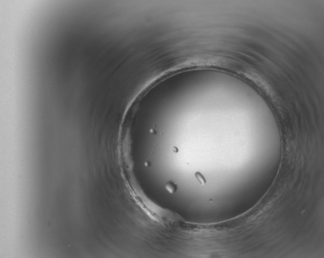 X0000072500894200607290102