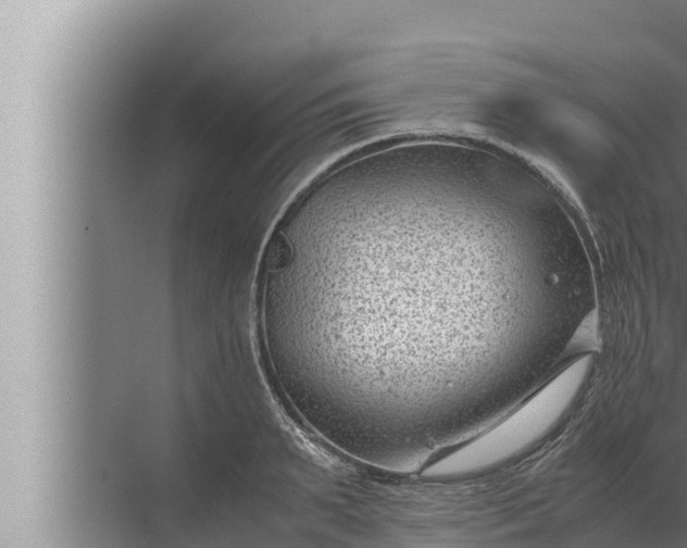 X0000072500895200607290102