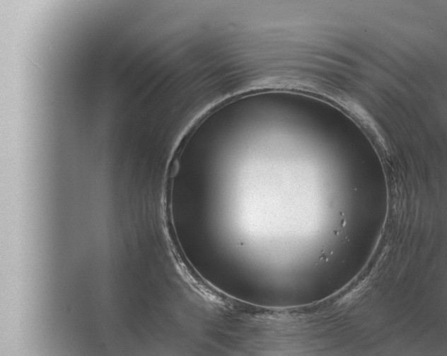 X0000072500896200607290102