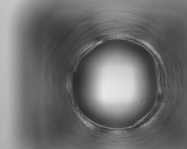 X0000072500897200607290102