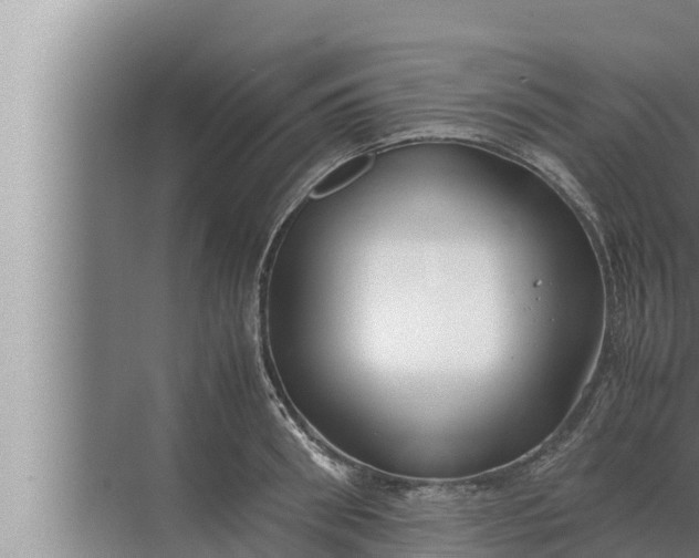 X0000072500898200607290102