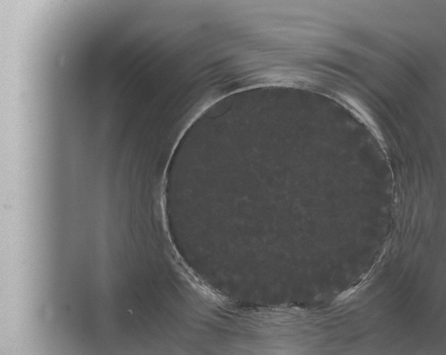 X0000072500899200607290102