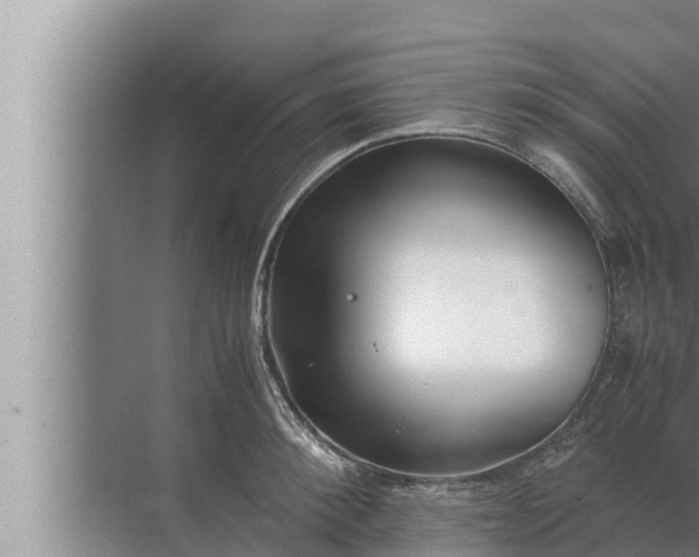 X0000072500900200607290102