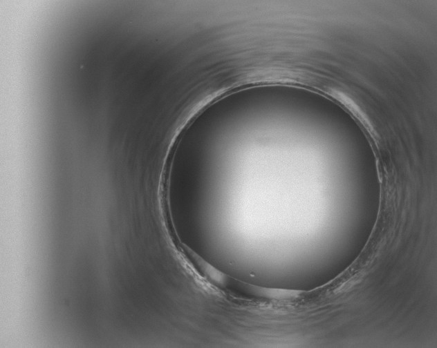 X0000072500901200607290102