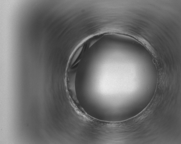 X0000072500904200607290102