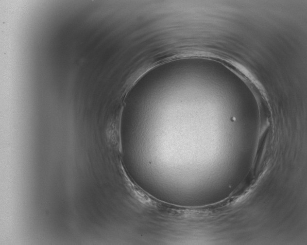 X0000072500905200607290102