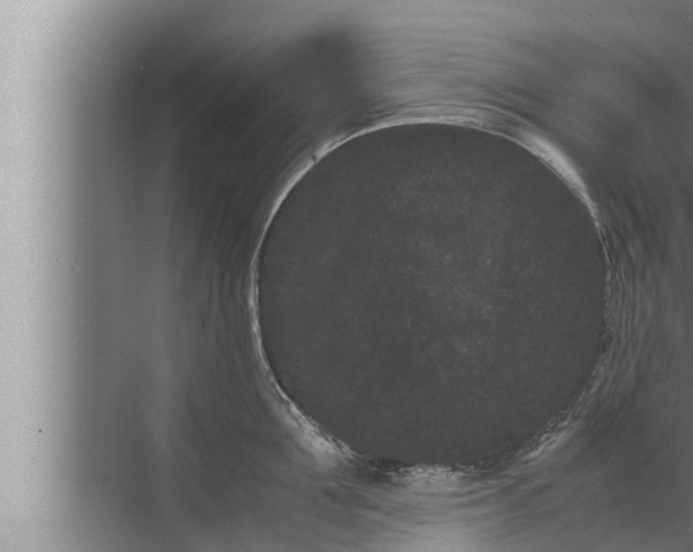 X0000072500907200607290102