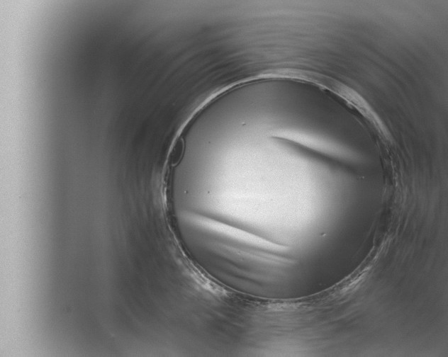 X0000072500908200607290102