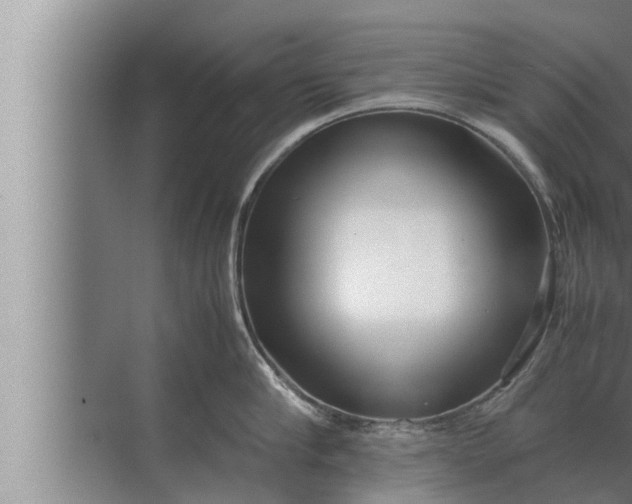 X0000072500910200607290102