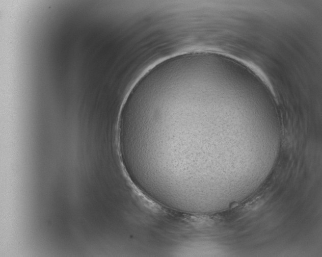 X0000072500911200607290102