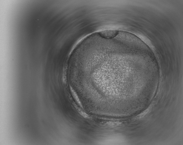 X0000072500912200607290102