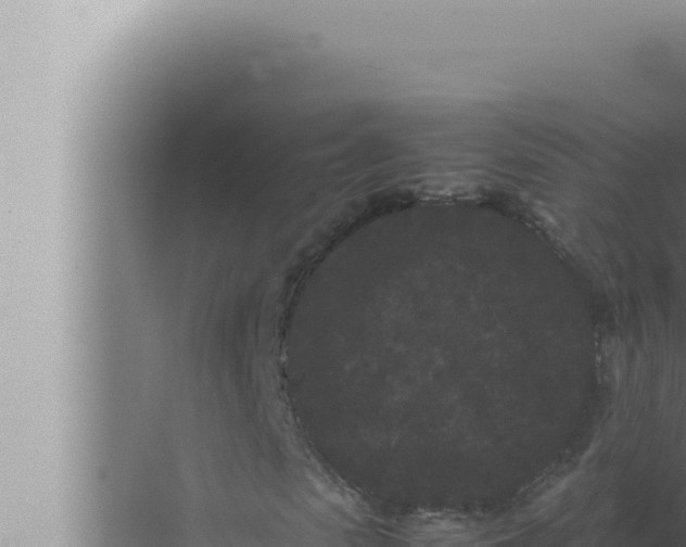 X0000072500913200607290101