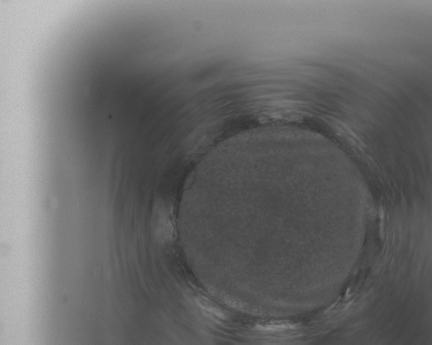 X0000072500915200607290101