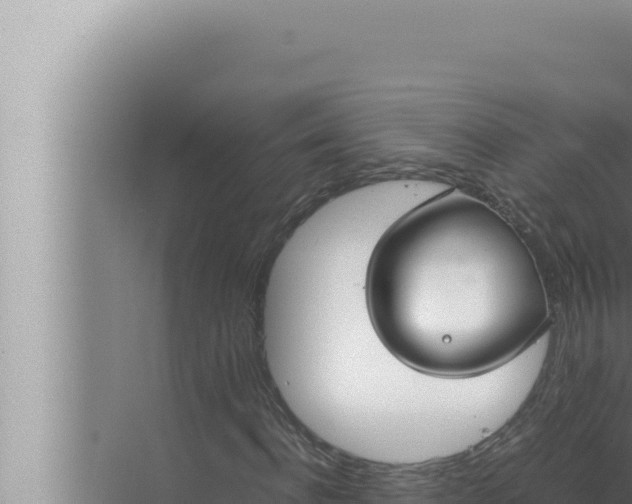 X0000072500916200607290101