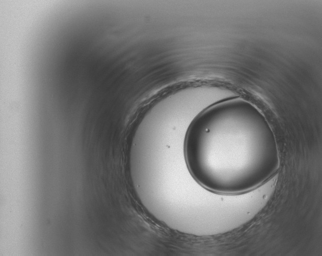 X0000072500920200607290101