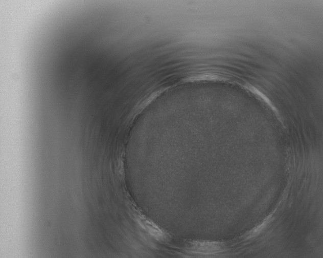 X0000072500921200607290102