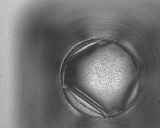 X0000072500924200607290102