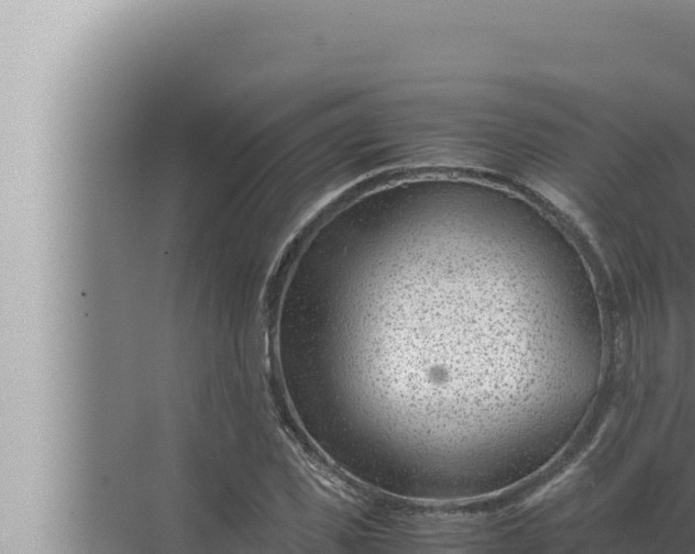 X0000072500925200607290102