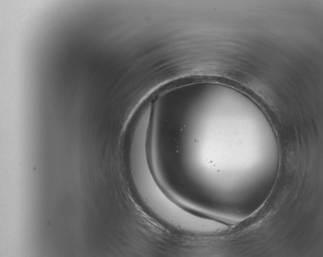 X0000072500926200607290102