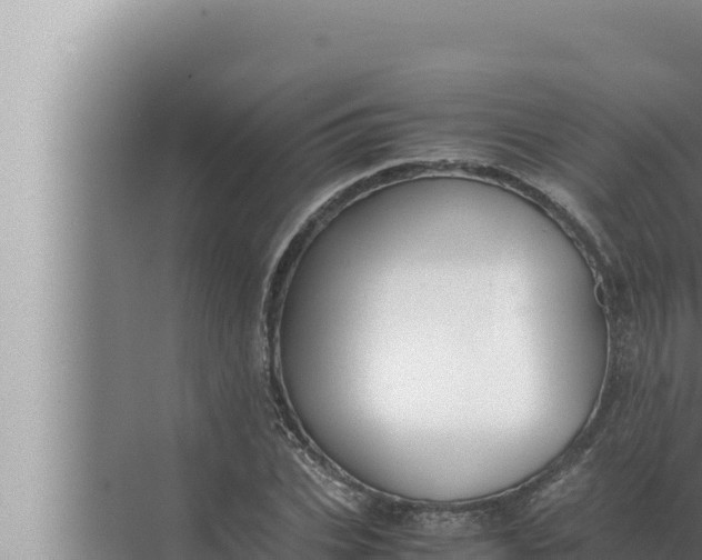 X0000072500927200607290102