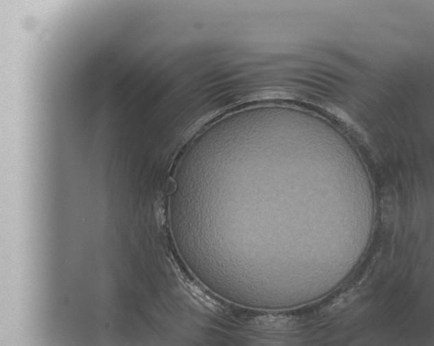 X0000072500929200607290102