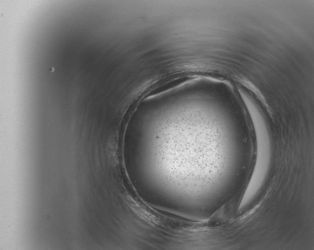 X0000072500930200607290102