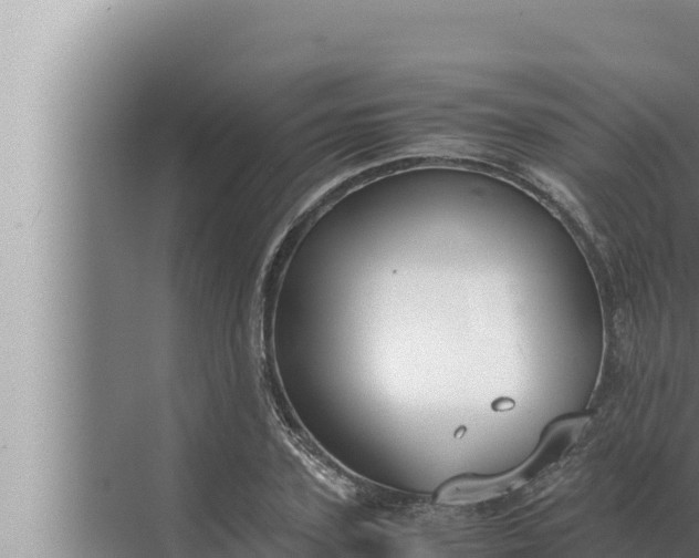 X0000072500931200607290102