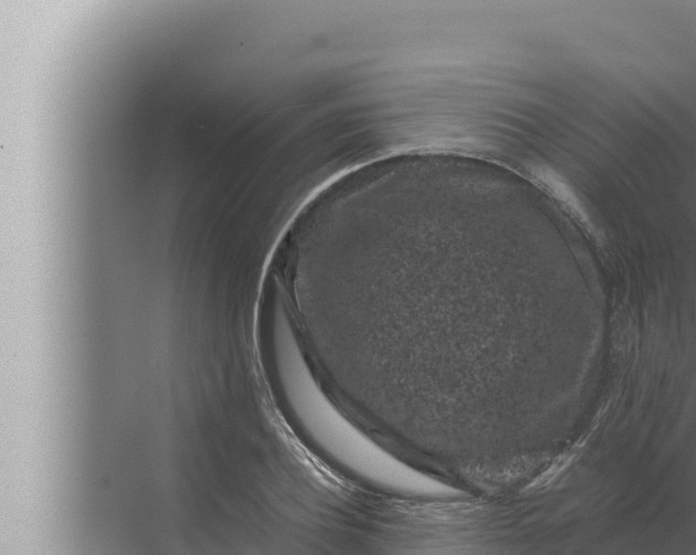 X0000072500932200607290102