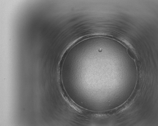 X0000072500933200607290102