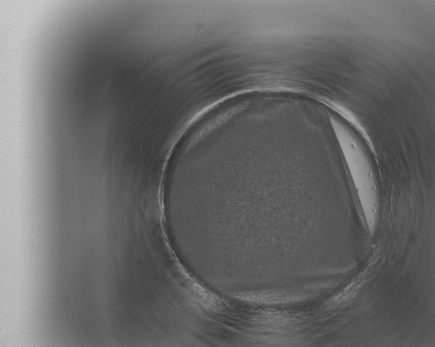 X0000072500935200607290102